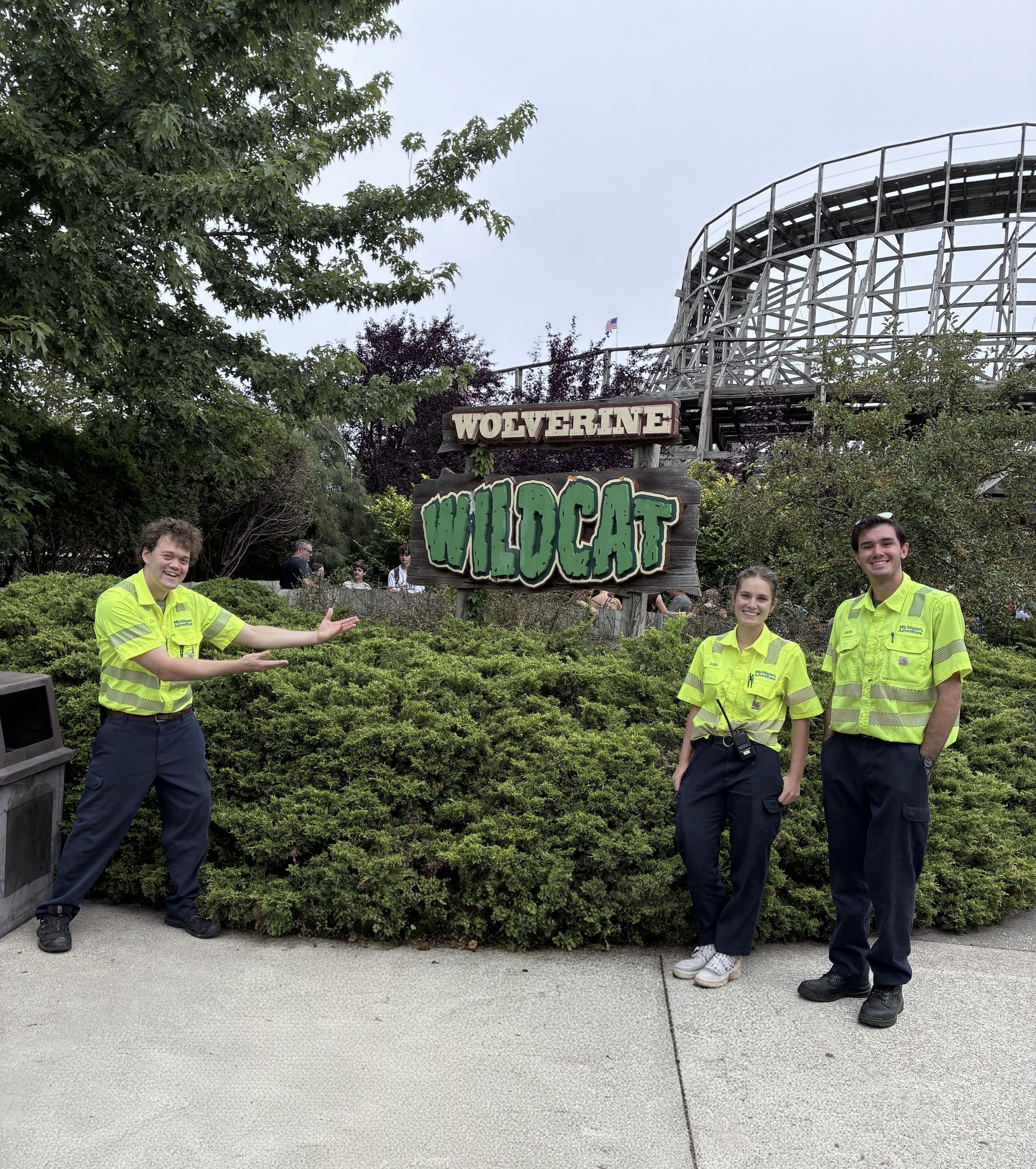 Wolverine Wildcat Retheme Intern Project Team
